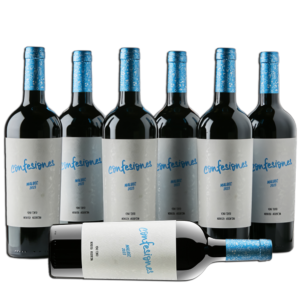 Caja malbec joven 2023 + 1 Malbec sin cargo